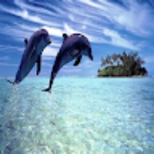 Meet your Posher, Terry